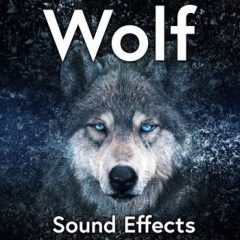 دانلود بانک صدای افکت صوتی گرگ Sound Ideas Wolf Sound Effects FLAC