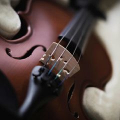 دانلود آموزش ویولن Udemy – Learn the Violin – No Music Experience Necessary! TUTORiAL