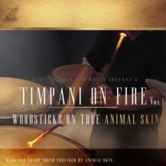دانلود وی اس تی تیمپانی FTSamples Timpani On Fire Vol 1 KONTAKT