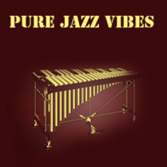 دانلود وی اس تی Orange Tree Samples – Pure Jazz Vibes KONTAKT