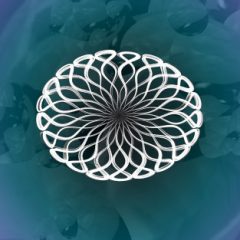 دانلود پکیج افزودنی ابلتون لایو Coldcut MidiVolve v1.1 for Ableton Live v9.7.3 ALP