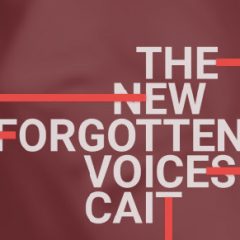 دانلود وی اس تی وکال بومی ۸Dio The New Forgotten Voices Cait KONTAKT