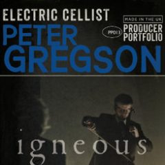 دانلود وی اس تی ویولن سل الکتریک Spitfire Audio PP013 Igneous Electric Cello KONTAKT