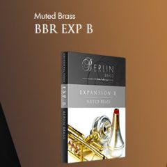 دانلود وی اس تی ساز های بادی برنجی Orchestral Tools Berlin Brass EXP B KONTAKT