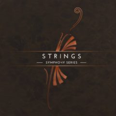 دانلود آپدیت وی اس تی Native Instruments SYMPHONY SERIES STRING ENSEMBLE v1.1