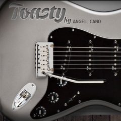 دانلود وی اس تی گیتار الکتریک Angel Cano Toasty v1.03 KONTAKT