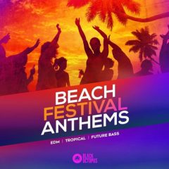 دانلود پکیج لوپ و سمپل Black Octopus Sound – Beach Festival Anthems MIDI, WAV
