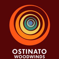 دانلود وی اس تی بادی چوبی Sonokinetic Ostinato Woodwinds KONTAKT
