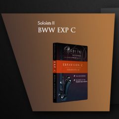 دانلود وی اس تی بادی چوبی Orchestral Tools Berlin Woodwinds EXP C Soloists II v2.1