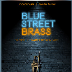 دانلود وی اس تی بادی برنجی Indiginus Blue Street Brass KONTAKT