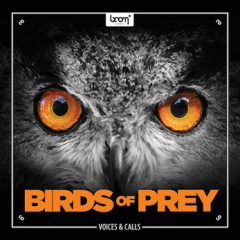 دانلود بانک صدای افکت صوتی Boom Library Birds of Prey WAV