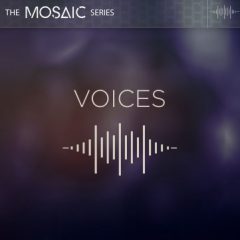 دانلود وی اس تی Heavyocity Mosaic Voices KONTAKT