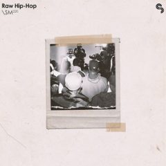 دانلود پکیج لوپ و سمپل هیپ هاپ Sample Magic Raw Hip-Hop WAV