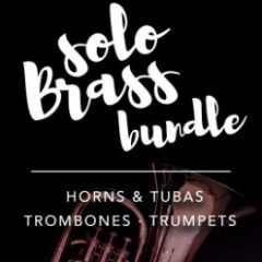 دانلود پکیج وی اس تی بادی برنجی Audio Modeling SWAM Solo Brass Bundle v1.6.1-V.R Rev