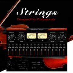 دانلود وی اس تی استرینگ Muze Hybrid Strings KONTAKT
