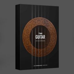 دانلود بانک صدای افزودنی وی اس تی Standalone-Music Guitar Getlow Expansion