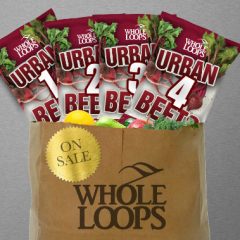دانلود پکیج لوپ و سمپل هیپ هاپ Whole Loops Urban Beets Bundle WAV, KONTAKT