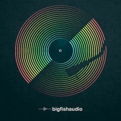 دانلود پکیج لوپ Big Fish Audio VINYL: Funk Rock Construction Kits WAV