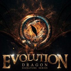 دانلود نسخه جدید وی اس تی Keepforest Evolution: Dragon v1.3 WAV KONTAKT PROPER