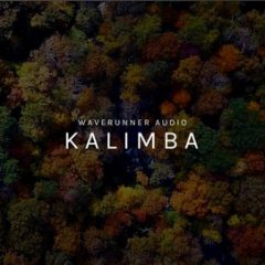 دانلود وی اس تی Waverunner Audio Kalimba KONTAKT