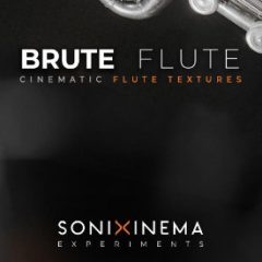 دانلود وی اس تی فلوت Sonixinema Brute Flute KONTAKT
