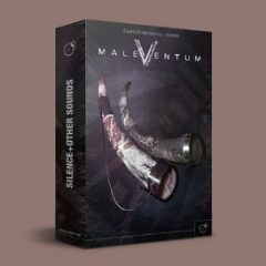 دانلود وی اس تی Silence+Other Sounds Maleventum KONTAKT REPACK