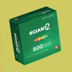 دانلود پکیج لوپ ملودی هیپ هاپ ProducerSources Giant 2 Melodies Edition WAV