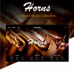 دانلود وی اس تی بادی برنجی Muze Horns KONTAKT