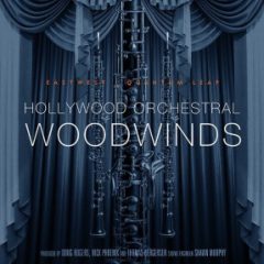 دانلود وی اس تی بادی چوبی East West Hollywood Orchestral Woodwinds Diamond v1.0.9