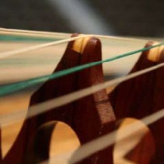 دانلود وی اس تی زیتر چینی Wavesfactory Guzheng KONTAKT