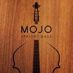 دانلود وی اس تی کُنترباس Vir2 MOJO: Upright Bass v1.0.1 KONTAKT