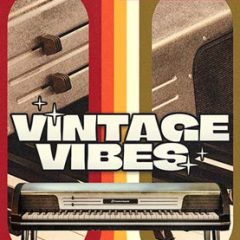 دانلود بانک صدای افزودنی Toontrack Vintage Vibes EKX v1.0.0