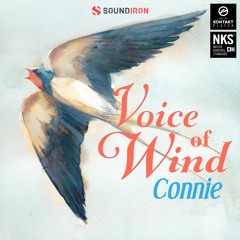 دانلود وی اس تی وکال Soundiron Voice of Wind: Connie v1.0 KONTAKT