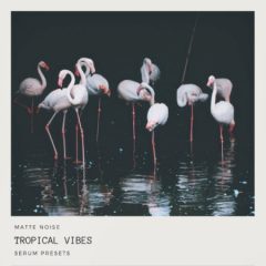 دانلود پکیج پریست GOGOi Tropical Vibes SERUM PRESETS