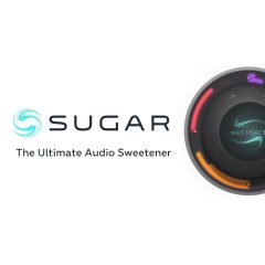 دانلود پلاگین Process Audio Sugar v1.2.1-R2R