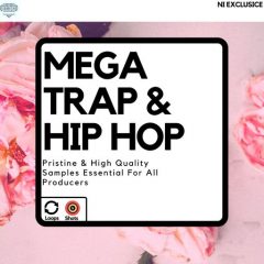 دانلود پکیج لوپ هیپ هاپ Diamond Sounds Mega Trap and Hip Hop WAV