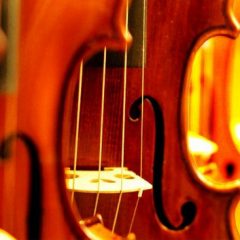 دانلود آموزش ویولن Udemy Violin Beginner to Advanced Vibrato TUTORiAL