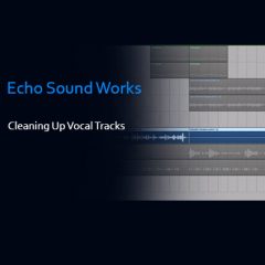 دانلود آموزش پردازش وکال Echo Sound Works Cleaning Up Vocal Tracks TUTORiAL