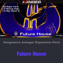 دانلود اکسپنشن وی اس تی Vengeance Avenger Expansion Pack Future House