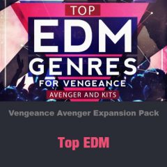 دانلود اکسپنشن وی اس تی Vengeance Avenger Expansion Pack Warehouse Top EDM