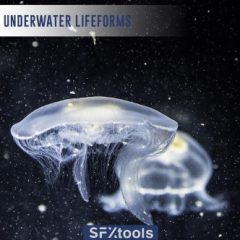 دانلود بانک صدای افکت صوتی حیات زیر آب SFXtools Underwater Lifeforms WAV