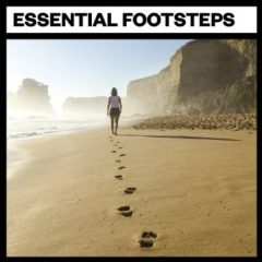 دانلود بانک صدای افکت صوتی قدم زدن Big Room Sound Essential Footsteps WAV