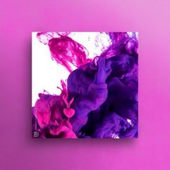 دانلود بانک صدای وکال DopeBoyzMuzic Purple Clouds Vocal Library 3 WAV