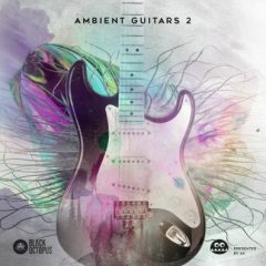 دانلود لوپ های گیتار Black Octopus Sound Ambient Guitars Volume 2 WAV