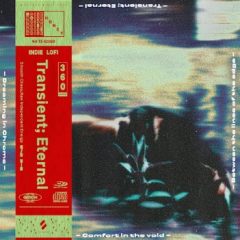 دانلود لوپ و سمپل Noise Honey Transient; Eternal WAV