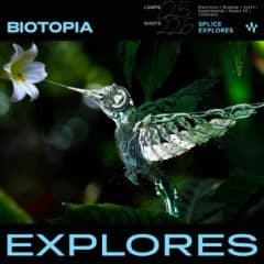 دانلود لوپ و سمپل Splice Explores Biotopia WAV