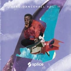 دانلود لوپ و سمپل Splice Sessions Afro Dancehall Vol 2 WAV MiDi Presets