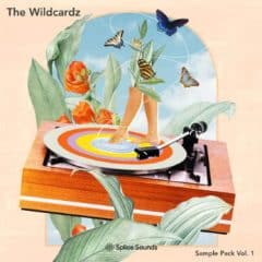 دانلود لوپ و سمپل Splice Sounds The Wildcardz Sample Pack Vol. 1 MULTiFORMAT