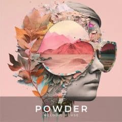 دانلود لوپ و سمپل Zenhiser Powder WAV