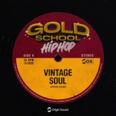 دانلود لوپ و سمپل هیپ هاپ Gold School Hip Hop WAV Presets